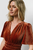 Artemis Velvet Maxi Dress | Dark Spice