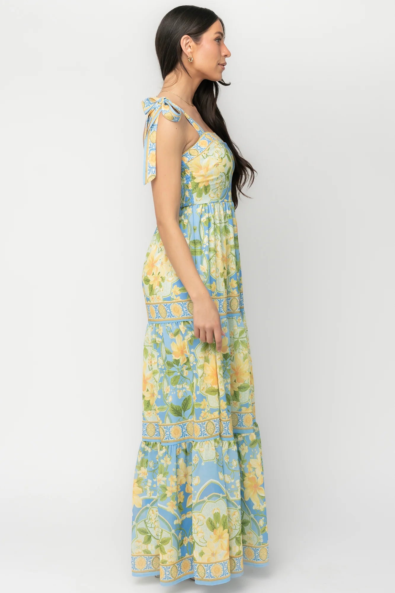 Rayne Maxi Dress | Blue Multi Floral