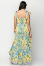 Rayne Maxi Dress | Blue Multi Floral
