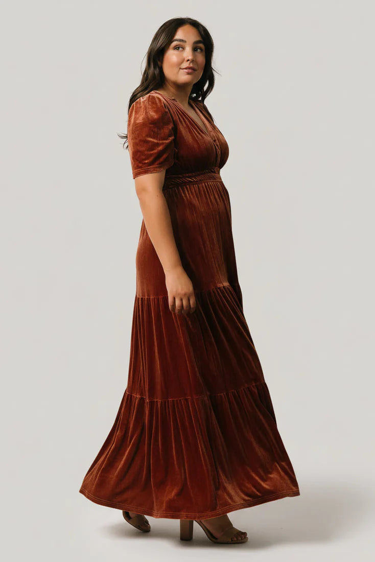 Artemis Velvet Maxi Dress | Dark Spice