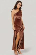 Tatiana Velvet One Shoulder Maxi Dress | Desert Rose